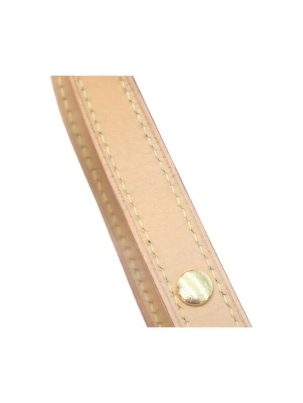 Louis Vuitton Monogram Loop Shoulder Bag